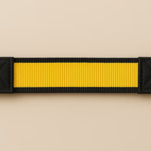 Fall-Arrest Lanyard Webbing